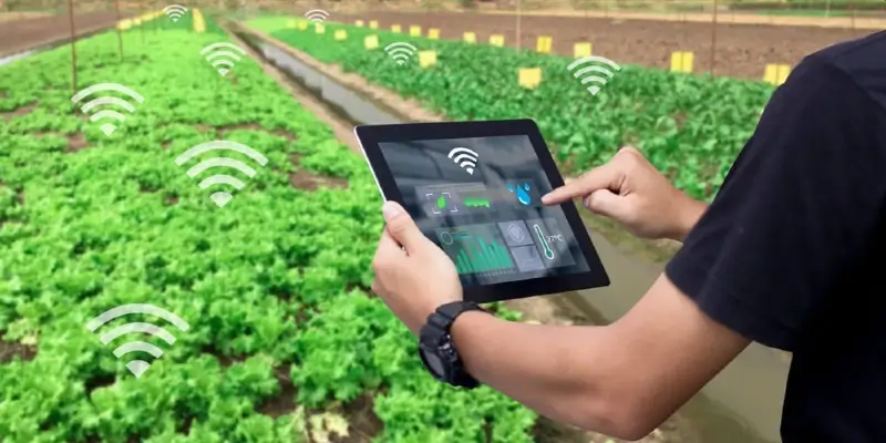 Konsultasi Pengembangan Smart Farming